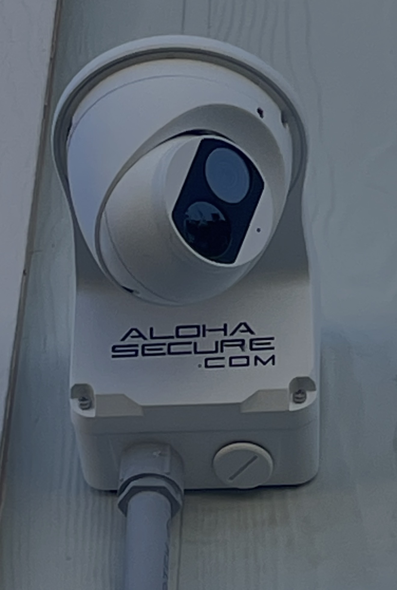 Virtual Guard Camera Monitoring